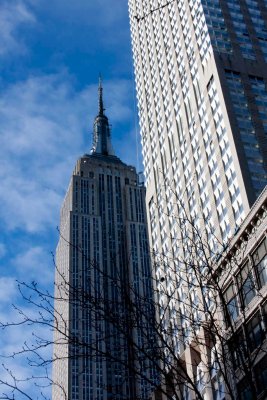 IMG_2946.jpg