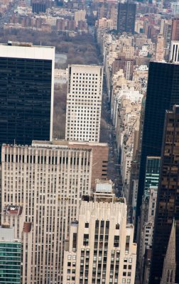 IMG_2996.jpg
