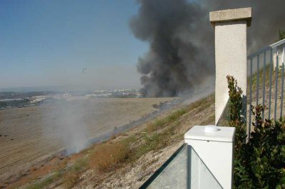 Small fire in the cleared area