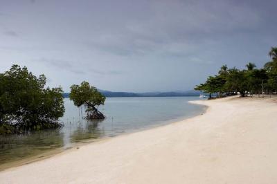 Dos Palmas Beach