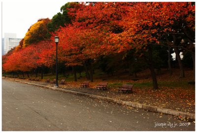 Autumn in Japan 2007