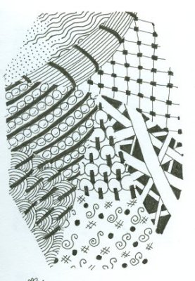 z4.jpg
