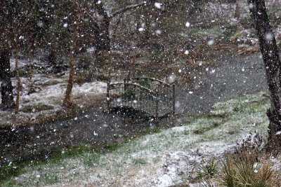 snow-3032
