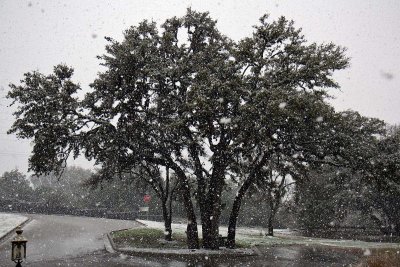 snow-3039