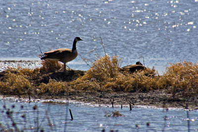 CRW_0051.jpg