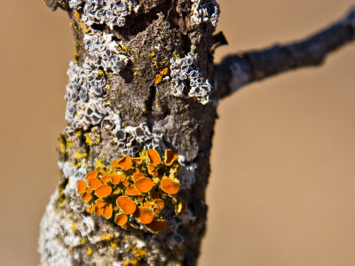 CRW_0142.jpg
