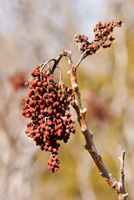CRW_0151.jpg
