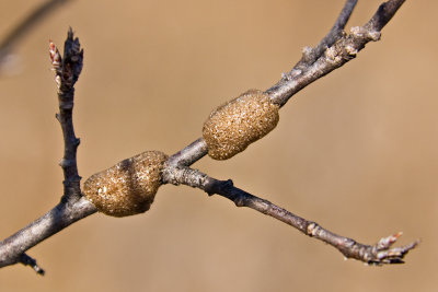 CRW_0161.jpg