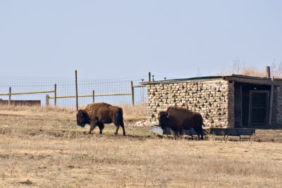CRW_0261.jpg