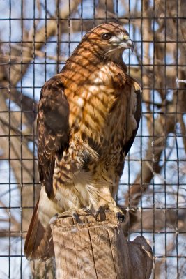 CRW_0301.jpg