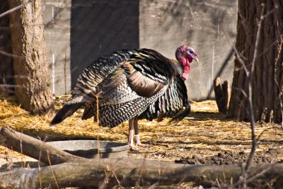 CRW_0325.jpg