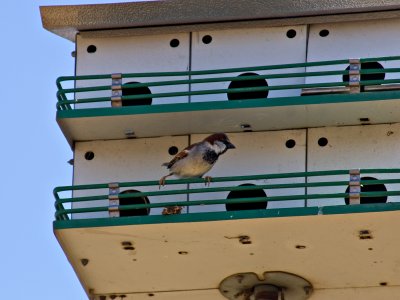 CRW_9972.jpg