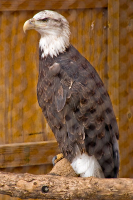 CRW_1243.jpg