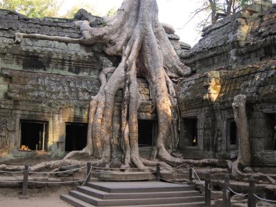 Ta Prohm