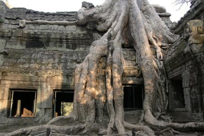 Ta Prohm