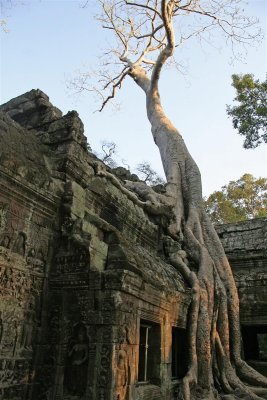 The temples of Angkor
