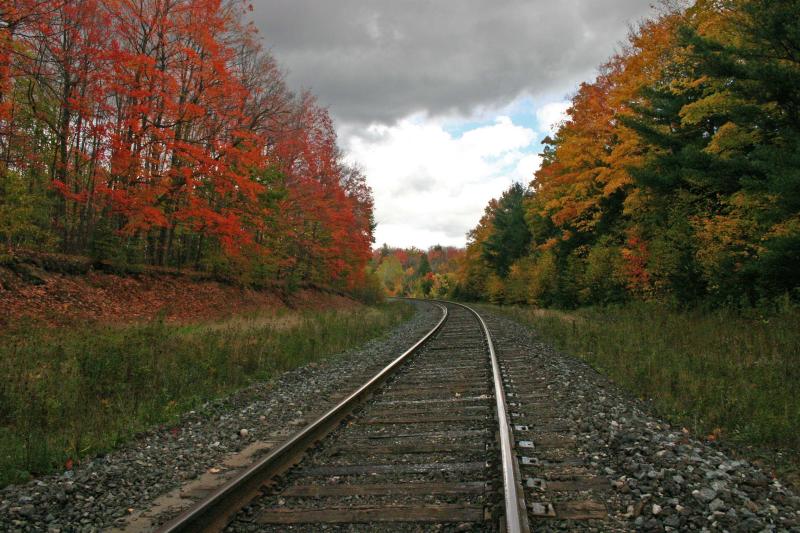 Fall Colors