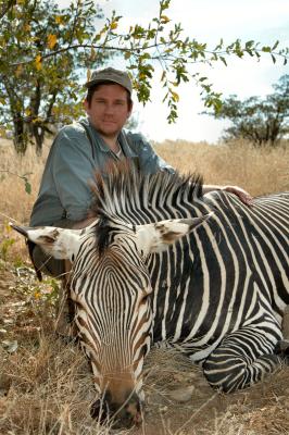 Zebra