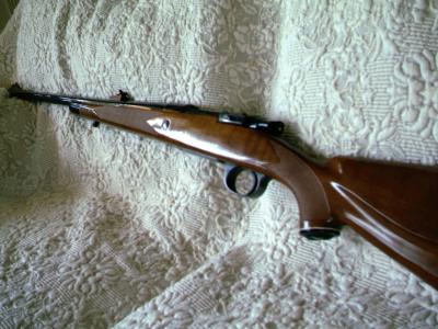 MK X Alaskan 012.jpg