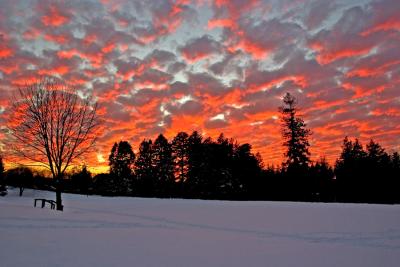 Sunset at Vasser College