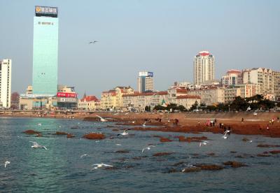 DSC_1226.JPG