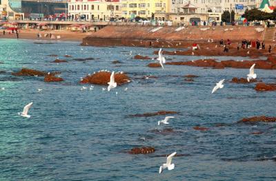 DSC_1227.JPG