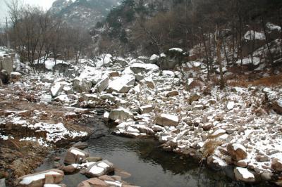 DSC_1195.JPG