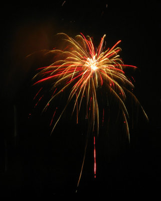 Firework China January 2010