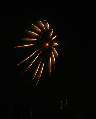 Firework China January 2010