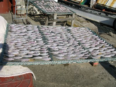 Drying Fish