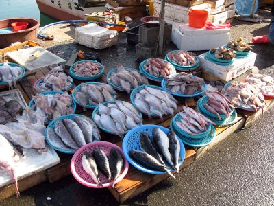 Fish for sale