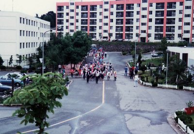 g3/13/533813/3/94564051.cjMkS3w1.jpg