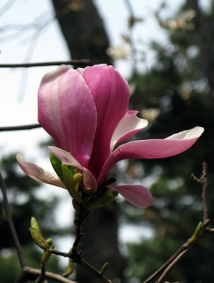 Spring 2008 Ulsan 6