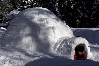 igloo camping