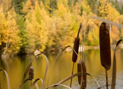 IMG_4600wwwww.jpg