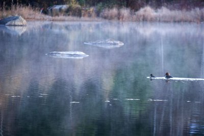 IMG_4653wwwwww.jpg