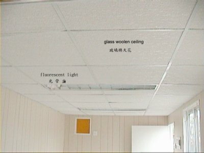 g3/13/556913/3/66788253.0eLlQSia.jpg