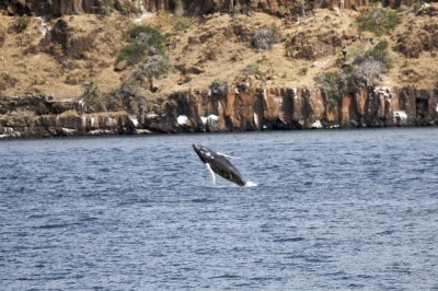 Galapagos Islands