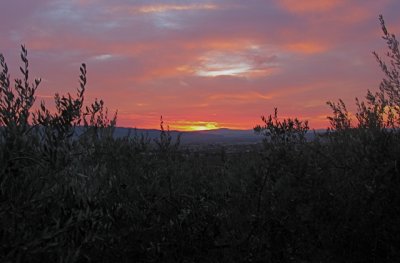 Assisi