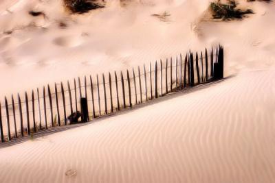 Cap Ferret  3