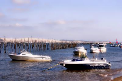 g3/13/575413/3/54487539.Arcachon045.jpg