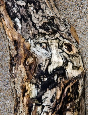 048-Driftwood.jpg