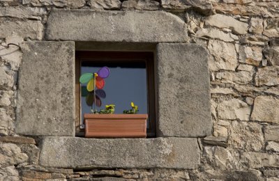 8206-WINDOW-BOX.jpg