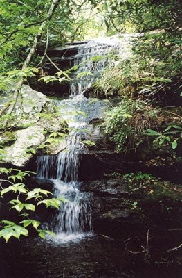 Tony's Falls (may be Laurel Creek Falls on Ellijay Road)