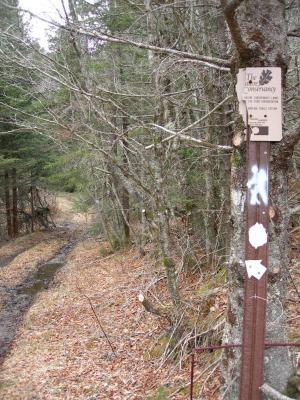 Markings for Mountains to Sea Trail were recently updated