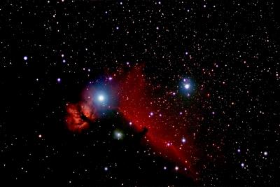 Horsehead Nebula & Friends