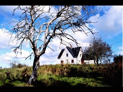 PEI-Empty House