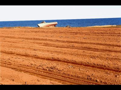 PEI-Field with Boat