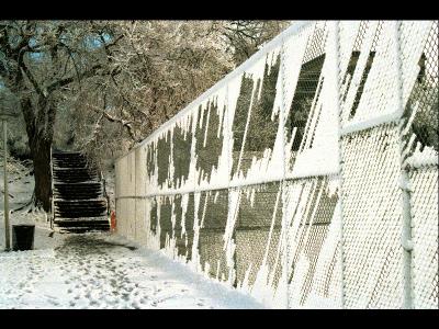Snow Fence-Toronto
