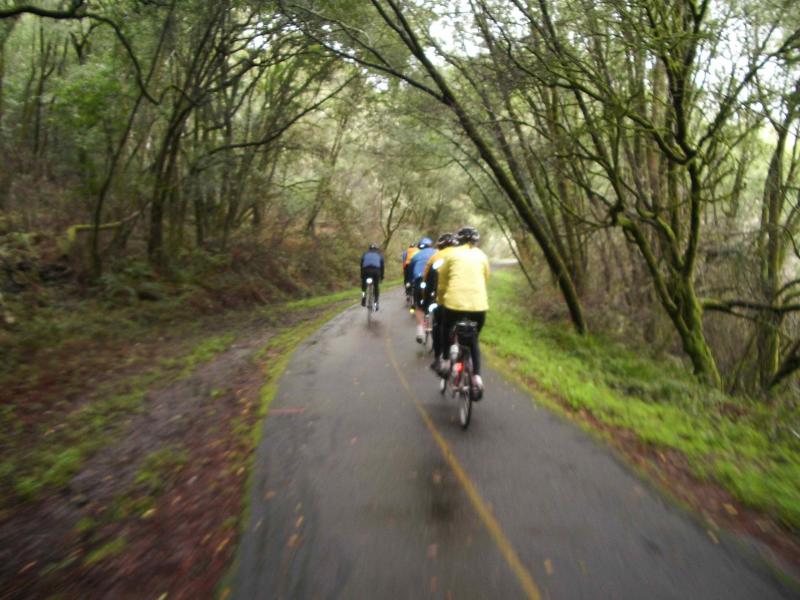 Bike Path Through SPT